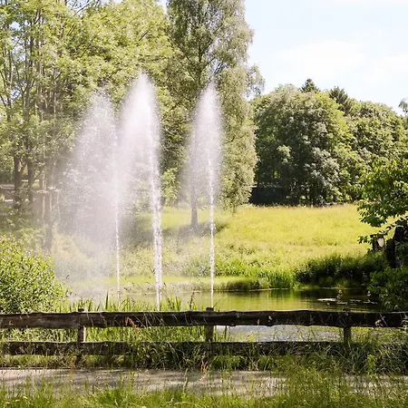 540, Oberharz, Mit Schwimmbad Und Sauna *